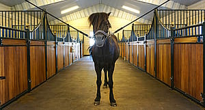 Stall, Edsbro | BORGA