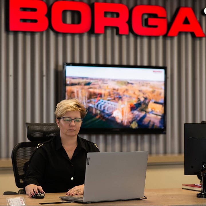 Team Borga