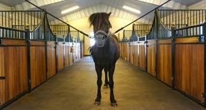Stall, Edsbro | BORGA