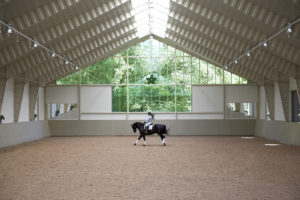 Equestrian Steel Buildings | BORGA