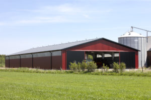 Steel Buildings for Agriculture | BORGA